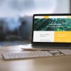 portfolio_microplan